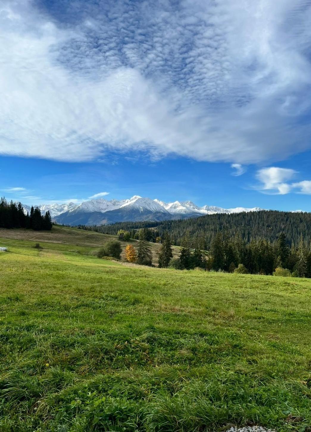 Tatra Widok Lägenhet Bukowina Tatrzańska Exteriör bild